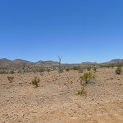 Baja2011 172 : Baja2011